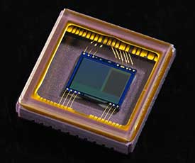 APS-C sized CMOS sensor