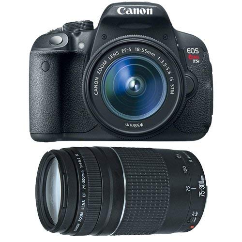 Canon EOS Rebel T5i Digital SLR Camera & EF-S 18-55mm IS STM Lens with Canon EF 75-300mm f/4-5.6 III Zoom Lens