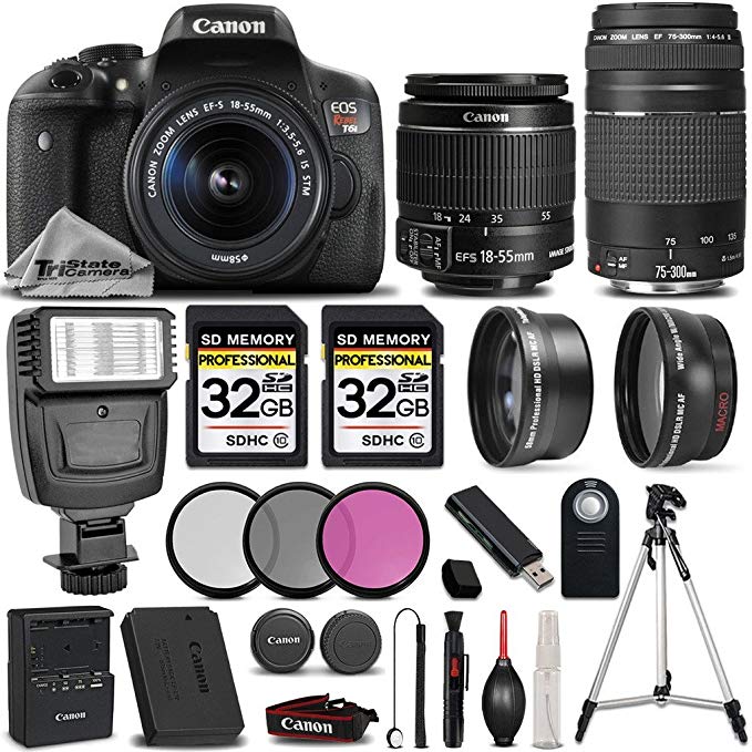 Canon EOS Rebel T6i / 750D 24.2 MP DSLR Camera + Canon EF-S 18-55mm f/3.5-5.6 IS STM Lens + Canon EF 75-300mm f/4-5.6 III Lens - All Original Accessories Included - International Version