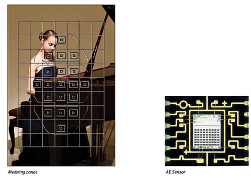 Canon EOS 7D digital SLR highlights