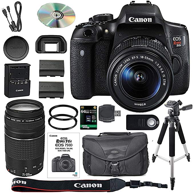 Canon EOS Rebel T6i DSLR Camera Bundle with Canon EF-S 18-55mm IS STM Lens + Canon EF 75-300mm III Lens + 64GB SDXC Memory Card + Accessory Kit - International Version