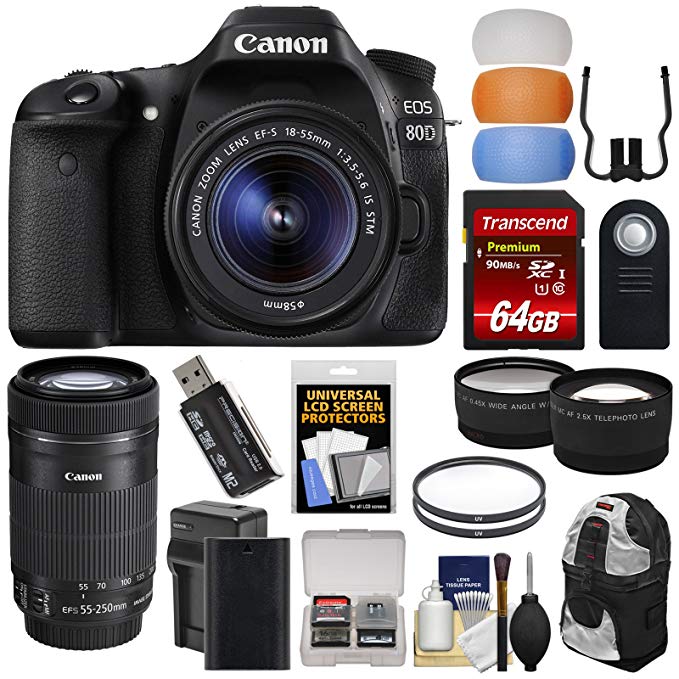 Canon EOS 80D Wi-Fi Digital SLR Camera & EF-S 18-55mm IS STM with 55-250mm IS STM Lens + 64GB Card + Battery + Backpack + Tele/Wide Lens Kit