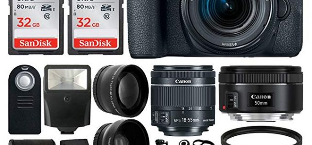 Canon EOS 77D Digital SLR Camera + Canon EF-S 18-55mm f/4-5.6 IS STM Lens + Canon EF 50mm f/1.8 STM Lens + Wide Angle & Telephoto Lens + Photo4Less DC59 Gadget Bag + Wireless Remote + Accessory Bundle Review