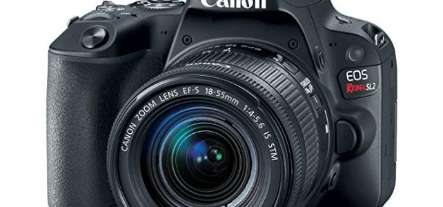 Canon EOS Rebel SL2 DSLR Camera EF-S 18-55mm STM Lens – WiFi Enabled Review