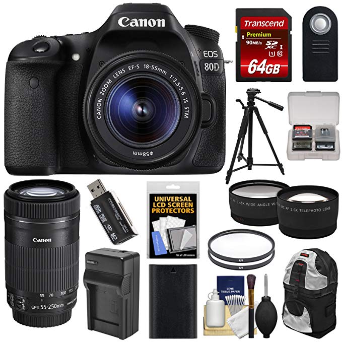 Canon EOS 80D Wi-Fi Digital SLR Camera & EF-S 18-55mm IS STM with 55-250mm IS STM Lens + 64GB + Battery & Charger + Backpack + Tripod + 2 Lens Kit